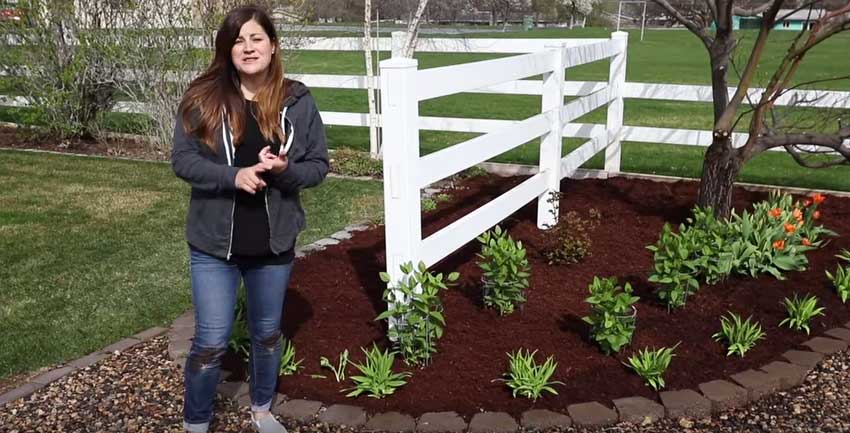 , Here&#8217;s 5 Tips for When You Create A New Flowerbed, Redwood Nursery &amp; Garden Center