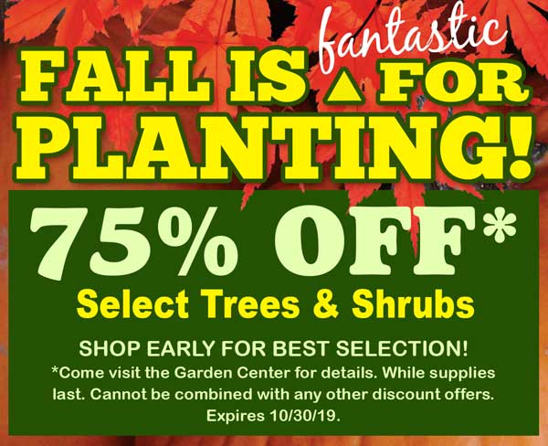 , Fall is Fantastic for Planting!, Redwood Nursery &amp; Garden Center